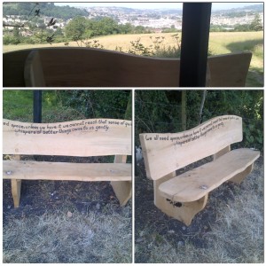 Bench at Bathwick 23-06-2014