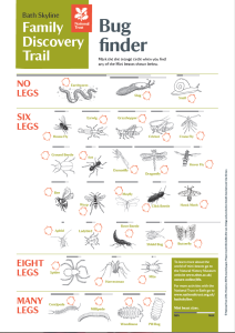 Bath bug sheet