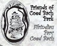 Coed Bach logo on paper